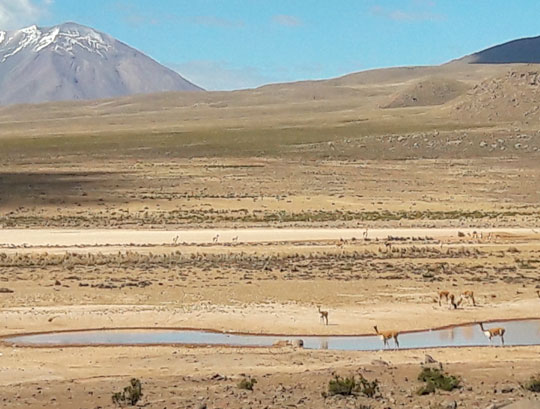 Reserva Salinas y Aguada Blanca