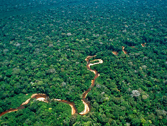 Vista aérea del Amazonas