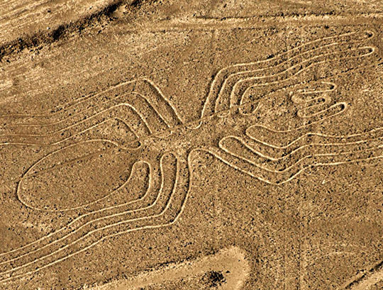 Araña en líneas de Nazca