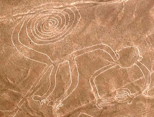 Mono en líneas de Nazca
